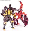 BotCon Exclusives Grizzly-1 (Barbearian) - Image #98 of 98