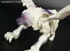 BotCon Exclusives Windrazor - Image #46 of 137