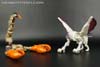 BotCon Exclusives Windrazor - Image #74 of 137