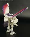 BotCon Exclusives Windrazor - Image #92 of 137