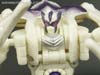 BotCon Exclusives Windrazor - Image #116 of 137
