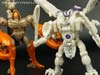 BotCon Exclusives Windrazor - Image #123 of 137