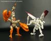 BotCon Exclusives Windrazor - Image #124 of 137
