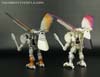 BotCon Exclusives Windrazor - Image #133 of 137