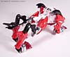 BotCon Exclusives CatSCAN - Image #6 of 91