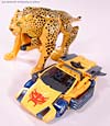BotCon Exclusives Cheetor - Image #42 of 119