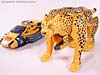 BotCon Exclusives Cheetor - Image #44 of 119