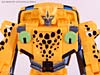 BotCon Exclusives Cheetor - Image #55 of 119