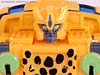 BotCon Exclusives Cheetor - Image #56 of 119