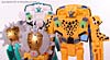 BotCon Exclusives Cheetor - Image #67 of 119