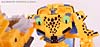 BotCon Exclusives Cheetor - Image #75 of 119