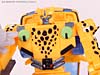 BotCon Exclusives Cheetor - Image #76 of 119