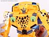 BotCon Exclusives Cheetor - Image #102 of 119