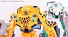 BotCon Exclusives Cheetor - Image #103 of 119