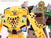BotCon Exclusives Cheetor - Image #111 of 119