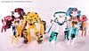 BotCon Exclusives Cheetor - Image #113 of 119