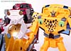 BotCon Exclusives Cheetor - Image #114 of 119