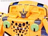 BotCon Exclusives Cheetor - Image #115 of 119