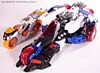 BotCon Exclusives Optimus Primal - Image #73 of 178