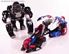 BotCon Exclusives Optimus Primal - Image #78 of 178