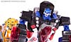 BotCon Exclusives Optimus Primal - Image #102 of 178