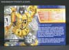BotCon Exclusives Sunstorm - Image #2 of 83