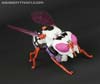 BotCon Exclusives Waruder Paralyzer Drone - Image #11 of 103