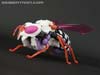 BotCon Exclusives Waruder Paralyzer Drone - Image #21 of 103