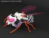 BotCon Exclusives Waruder Paralyzer Drone - Image #22 of 103