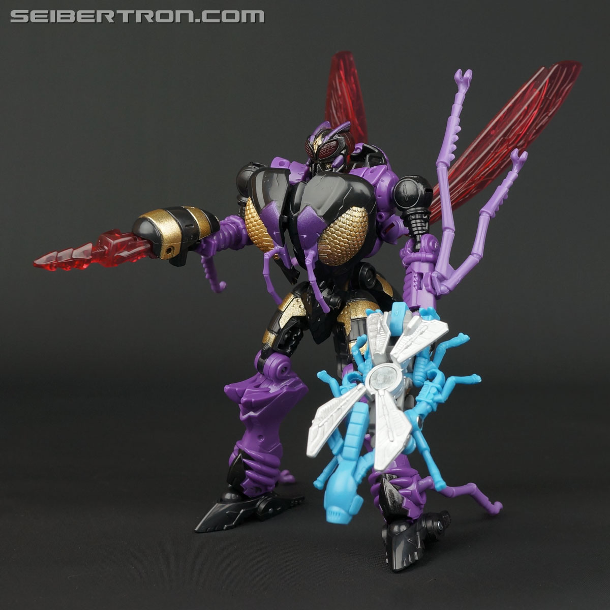 Transformers BotCon Exclusives Waruder Parasite Drone (Image #62 of 109)