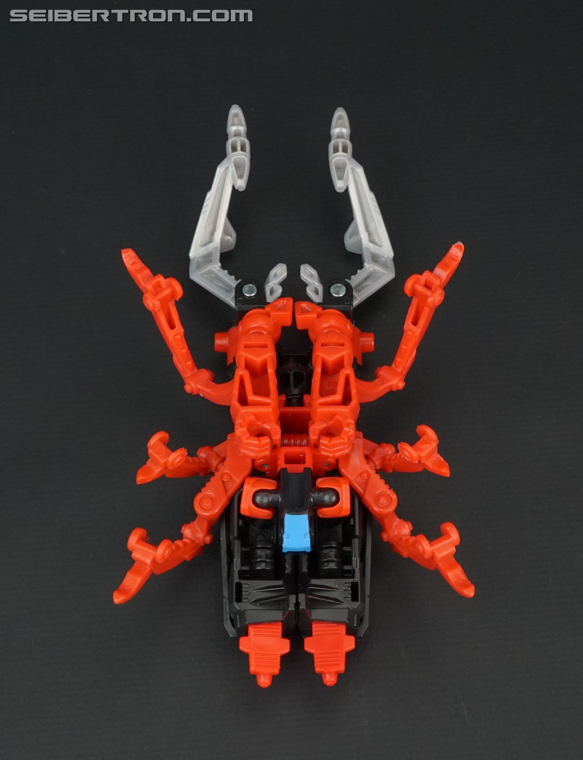 Transformers BotCon Exclusives Zaptrap (Image #22 of 149)