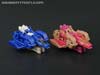 Titans Return Terri-Bull - Image #78 of 154