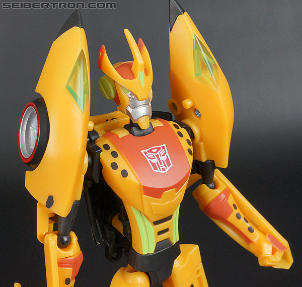Transformers Club Exclusives Cheetor (Image #60 of 141) Transformers Club Exclusives Cheetor (Image #60 of 141)