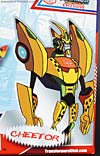 Club Exclusives Cheetor - Image #2 of 141