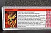 Club Exclusives Cheetor - Image #21 of 141