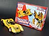 Club Exclusives Cheetor - Image #24 of 141