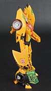 Club Exclusives Cheetor - Image #65 of 141