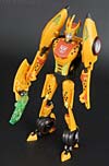 Club Exclusives Cheetor - Image #71 of 141