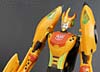 Club Exclusives Cheetor - Image #74 of 141