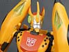 Club Exclusives Cheetor - Image #79 of 141