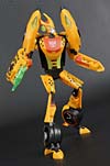 Club Exclusives Cheetor - Image #81 of 141