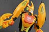 Club Exclusives Cheetor - Image #84 of 141
