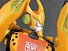 Club Exclusives Cheetor - Image #85 of 141