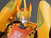 Club Exclusives Cheetor - Image #87 of 141