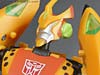 Club Exclusives Cheetor - Image #95 of 141