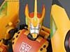 Club Exclusives Cheetor - Image #107 of 141