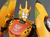 Club Exclusives Cheetor - Image #109 of 141
