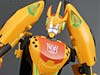 Club Exclusives Cheetor - Image #113 of 141