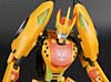 Club Exclusives Cheetor - Image #114 of 141