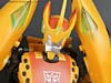Club Exclusives Cheetor - Image #116 of 141